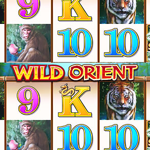 Wild Orient